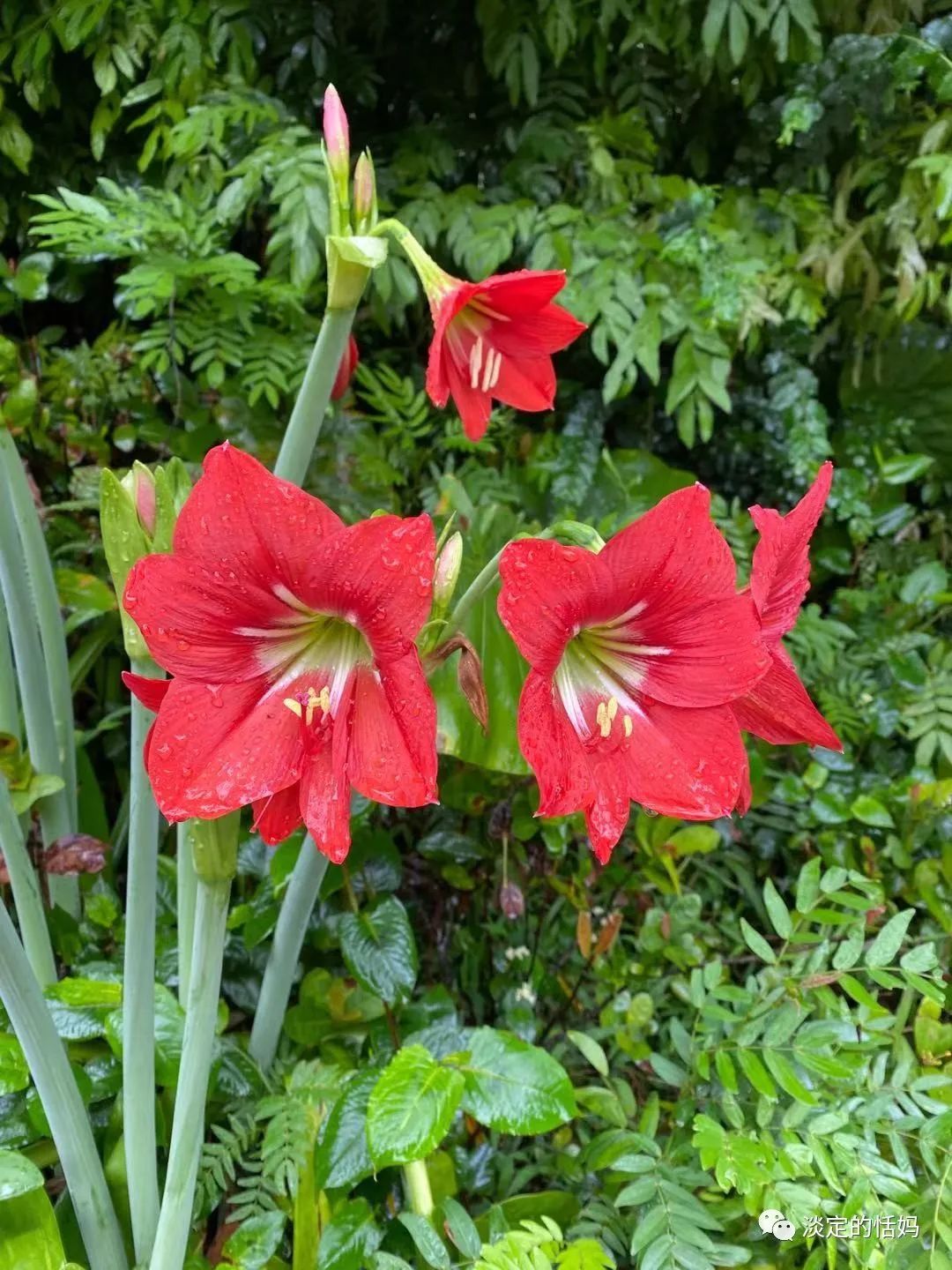 一边修脚一边讲故事,开口学古诗