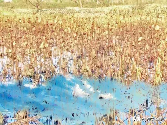 金寨是美丽的、有历史文化的，但这样的金寨你绝对没看过