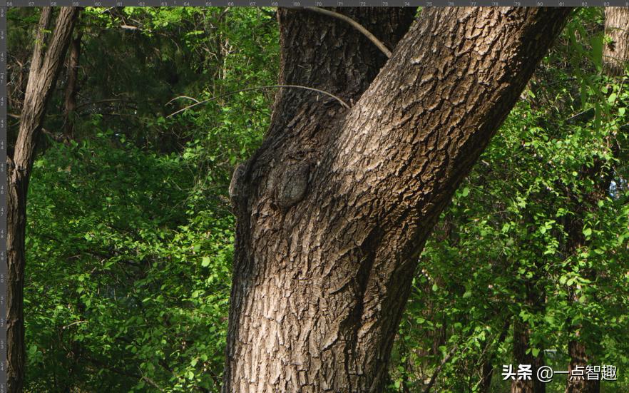 一亿像素手机拍照对比,主摄一亿像素的手机