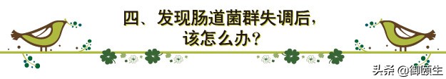 肠道菌群紊乱怎么改善和调理,肠道菌群紊乱如何快速调理