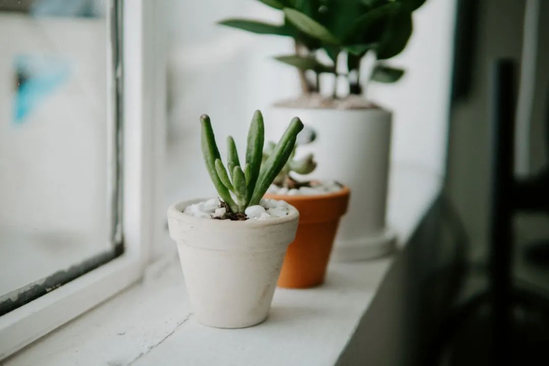 怎样帮助朋友走出失去亲人的悲伤,如何帮朋友走出伤痛