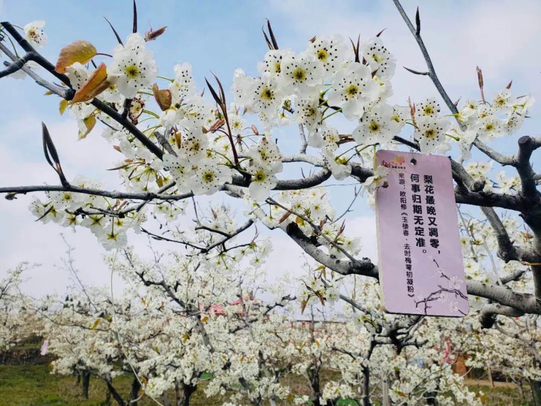 珏山景区旅游攻略,晋城珏山旅游景点大全