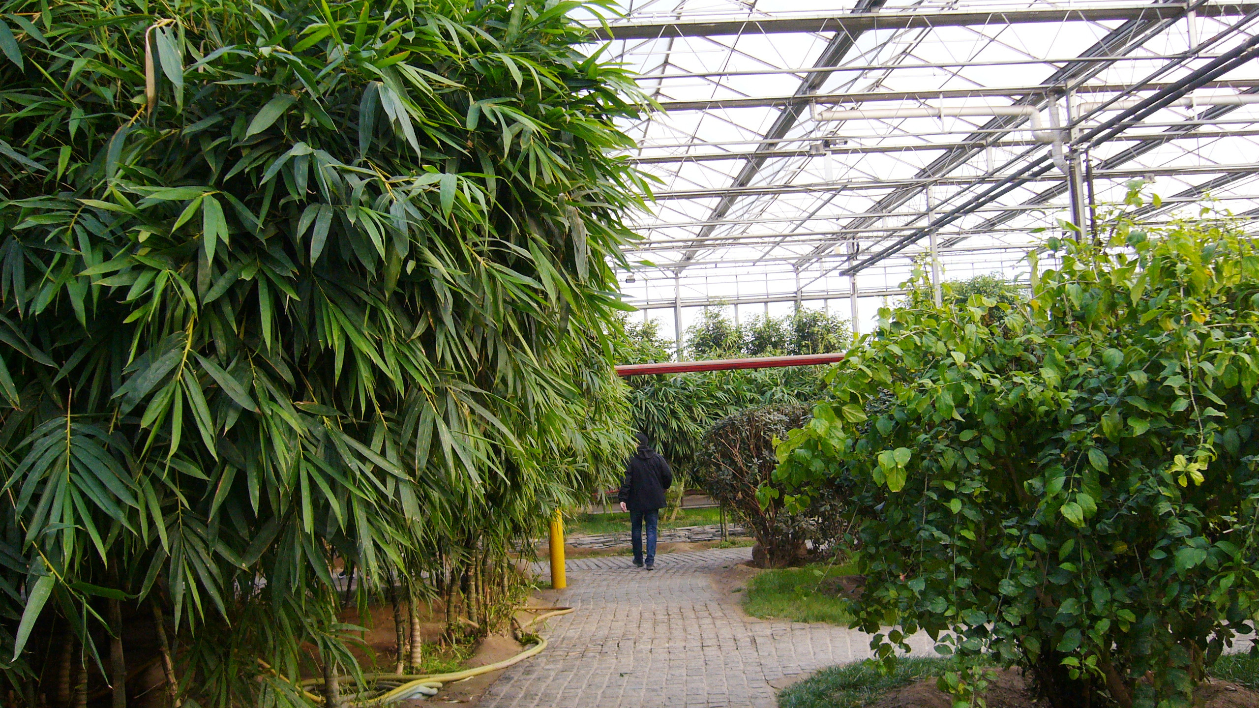 呀路古热带植物园和九天休闲谷,九天休闲谷热带植物园