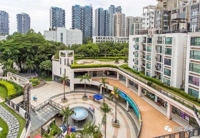 南山顶流学位科技园南｜南外高新最强攻略（下）