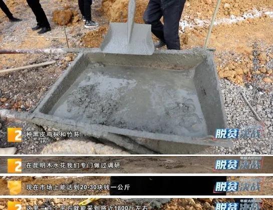 他的收入是普通村民的100倍，但他却来挑战当“村官”，因为：大家富才是真的富