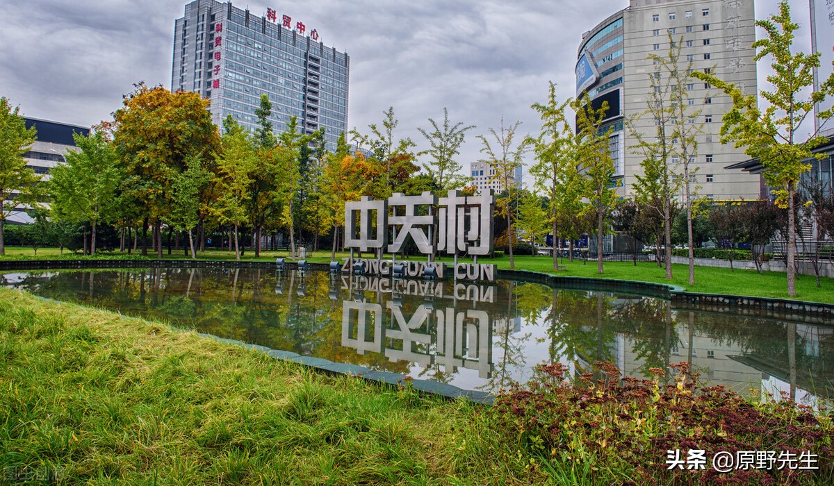 中关村已死，但它是自杀的