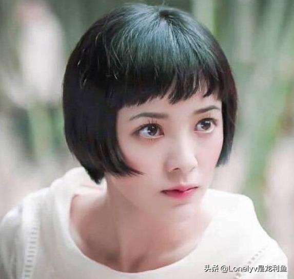 毁誉参半下一句怎么说,毁誉参半句子