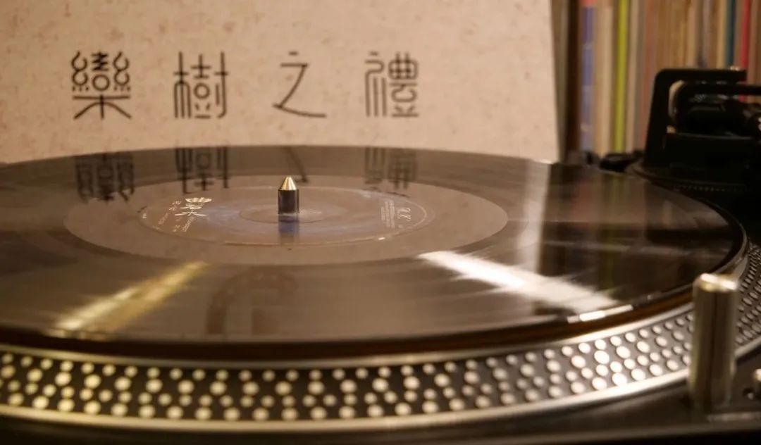 采访朴树完整版歌词,采访朴树唱的歌