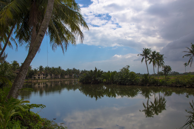 华人在越南经济地位,华人在越南的历史