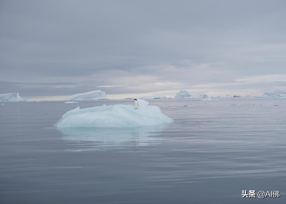 世界上最奇怪的海洋图片,世界各地的海洋照片