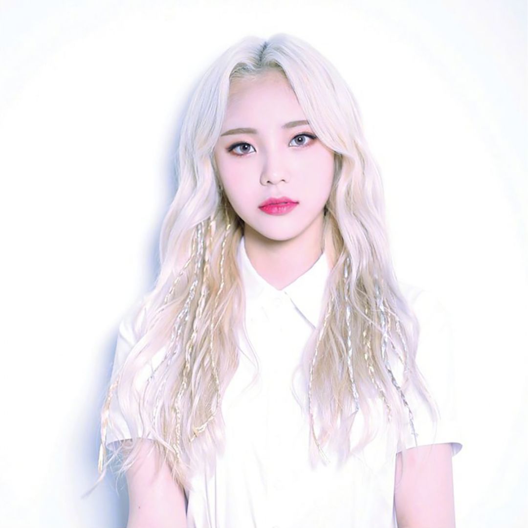 loona女团介绍,loona女团资料