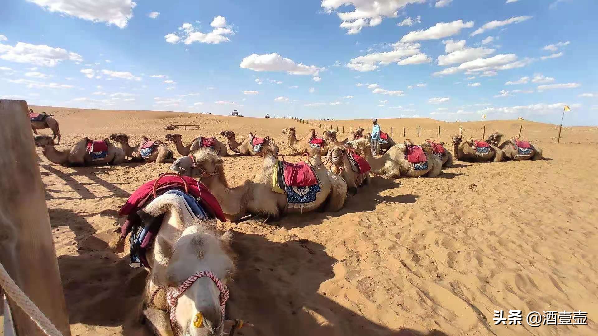 宁夏旅游景攻略,宁夏旅游最全攻略
