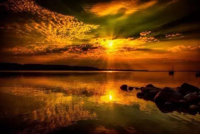 「潇湘名家」张继忠梦幻在艳阳里轻舞（外五首）