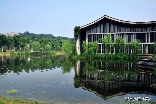 为什么好多人要上大专,为什么一定要上美院