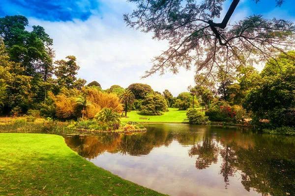 花园设计前沿趋势|14种澳洲庭院花园类型（上篇），全面细致