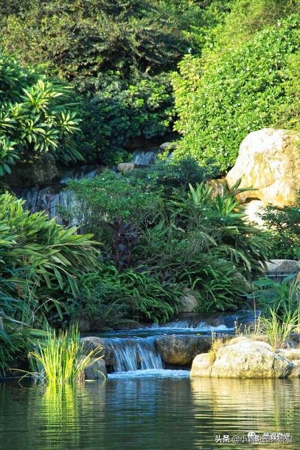 住宅小区植物配置方案,植物种植小技巧一览表图