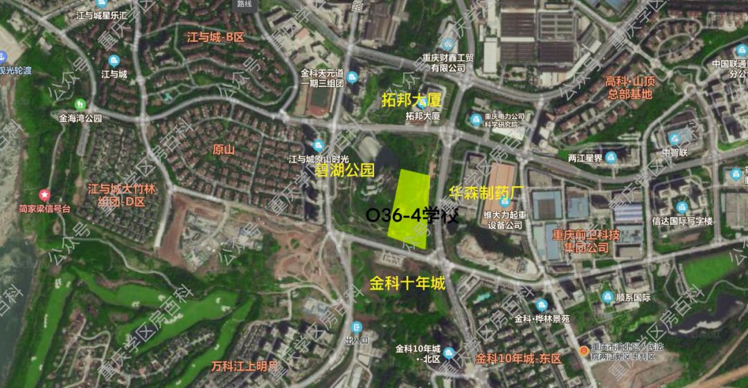 大竹林学校,重庆大竹林教育