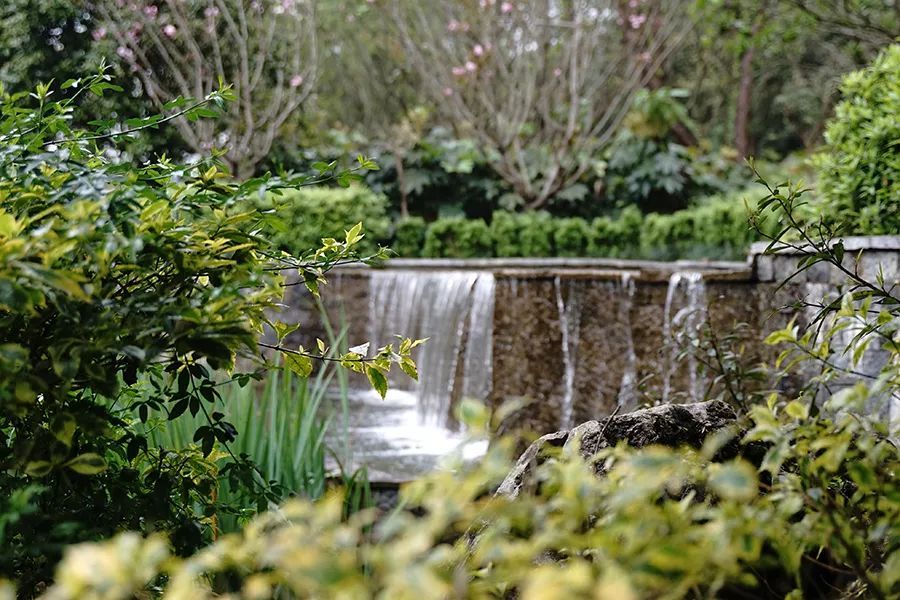 2.0t配8at好还是配9at好,2.0t与8at匹配最好的SUV