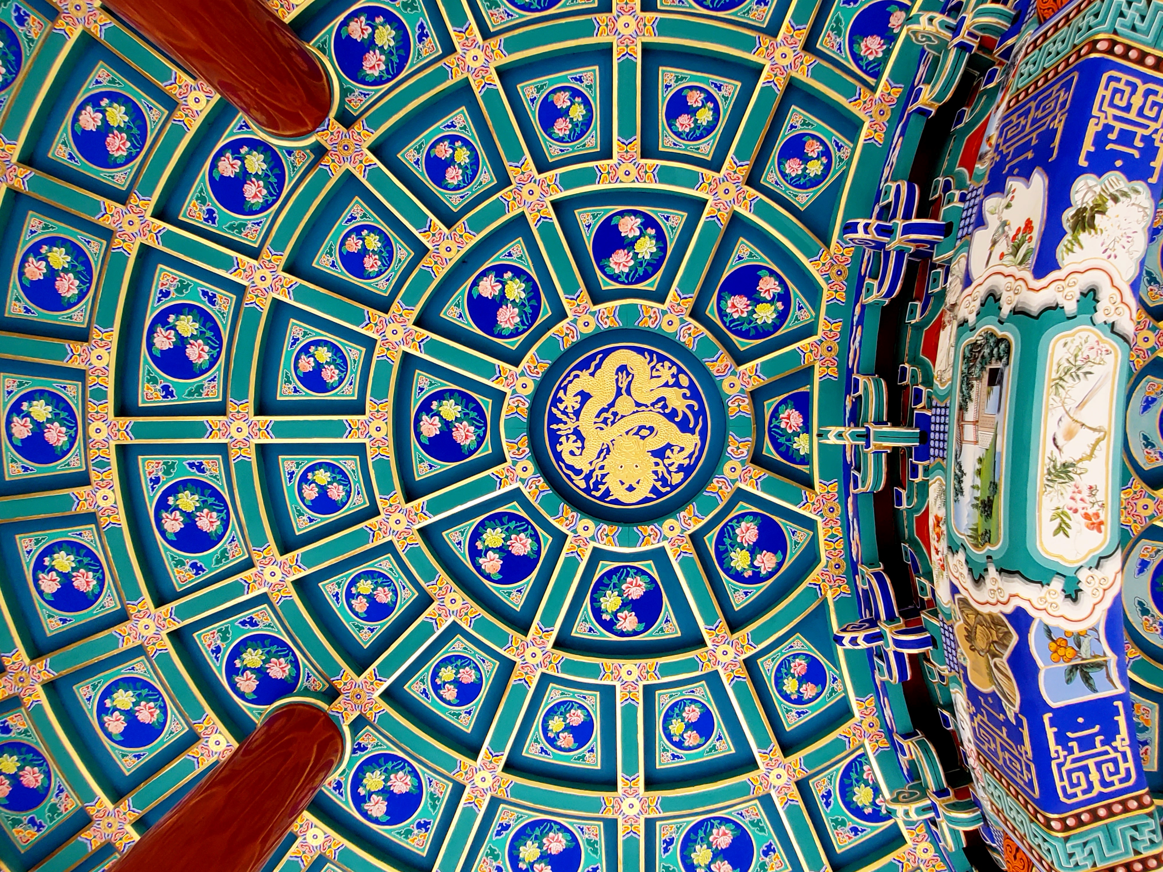 清波一勺买千钱?不能为武汉下一场樱花雨,不妨在这儿品百花香