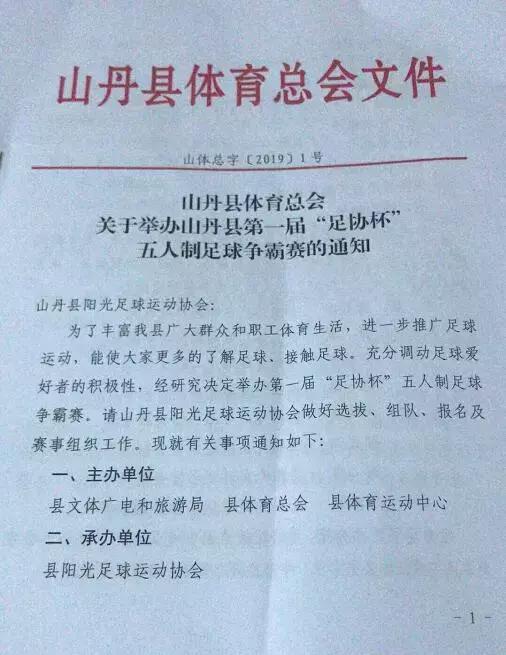 山丹足球比赛,县足球协会比赛报名