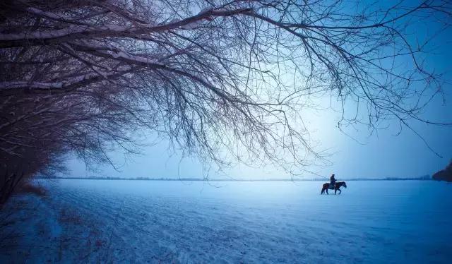 冬天的阿勒泰冰雪,冬天的雪冰雪奇缘