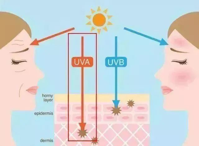 脸部长斑是什么原因,脸部长斑是什么原因导致的