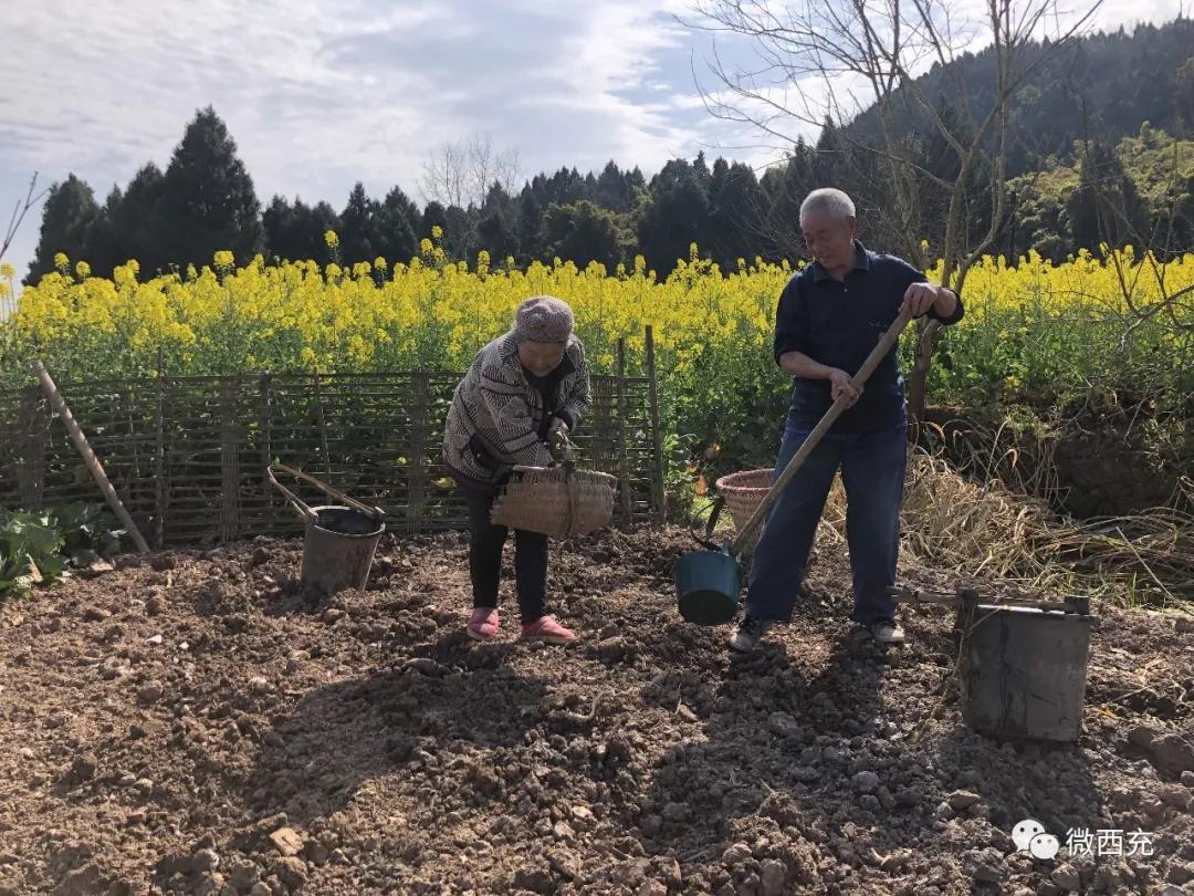 疫情防控春耕两不误宣传图,保春耕促生产防疫农耕两不误