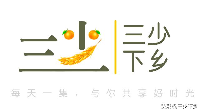 真正的中国荔枝之乡是哪里,中国三大荔枝之乡是哪里