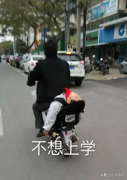 合肥哪个幼儿园最贵,合肥最贵私立幼儿园排名
