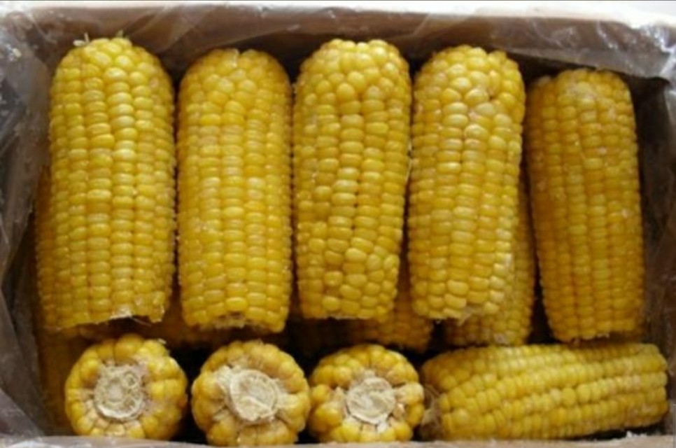 太阳沟末代皇帝溥仪住所,末代皇帝溥仪行宫