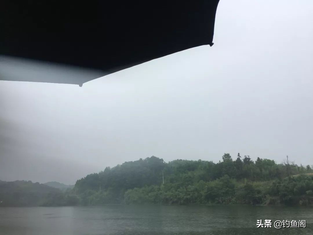 气压多少百帕才缺氧鱼会浮水,缺氧鱼上浮不开口怎么钓
