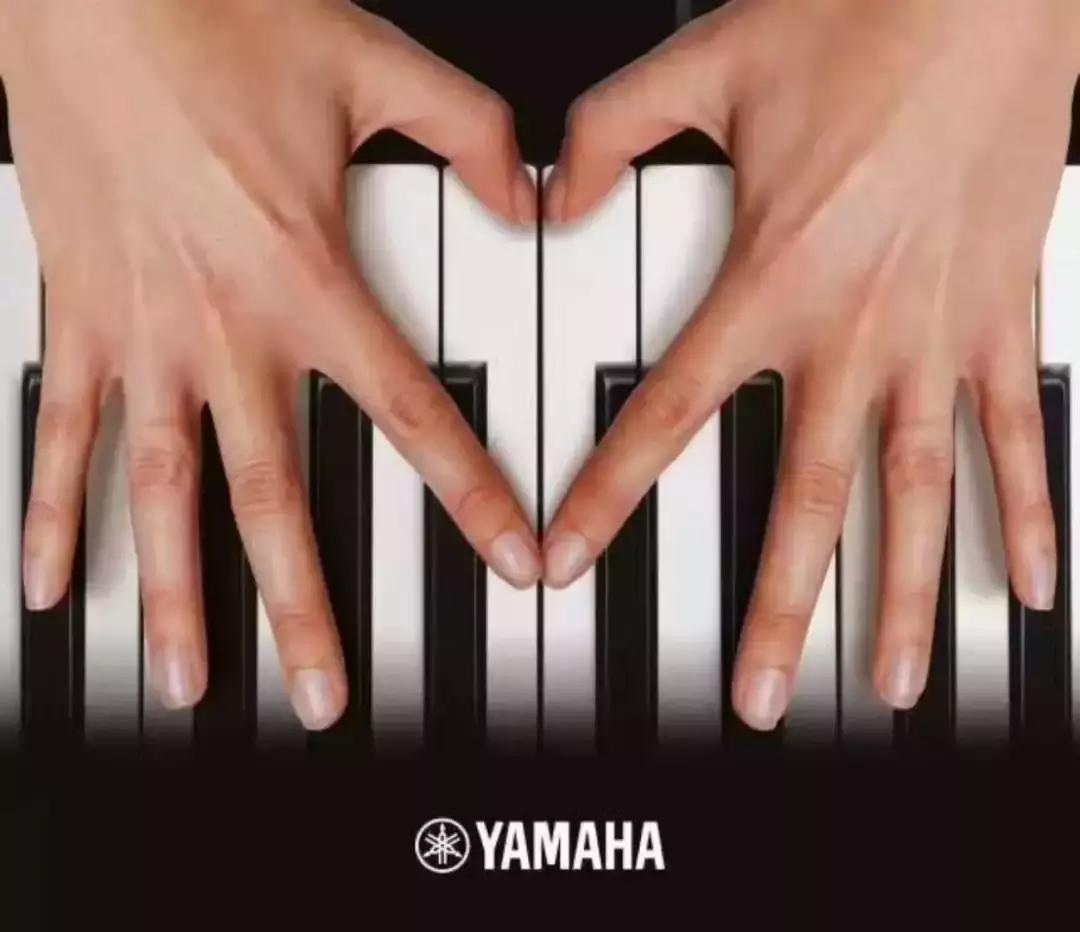 赤峰雅马哈nmax,赤峰雅马哈电子琴