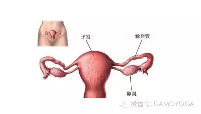 瀹瘨鐟滀冀浣撳紡,瀹瘨鐟滀冀浣撳紡鍥剧墖