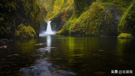 怎样吃素才健康视频,如何吃素健身