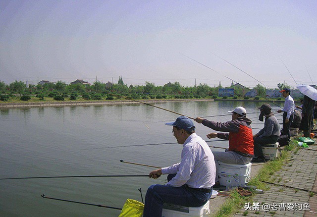 为什么黑坑钓鱼老是钓不到鱼,黑坑钓鱼没口原因及解决方法
