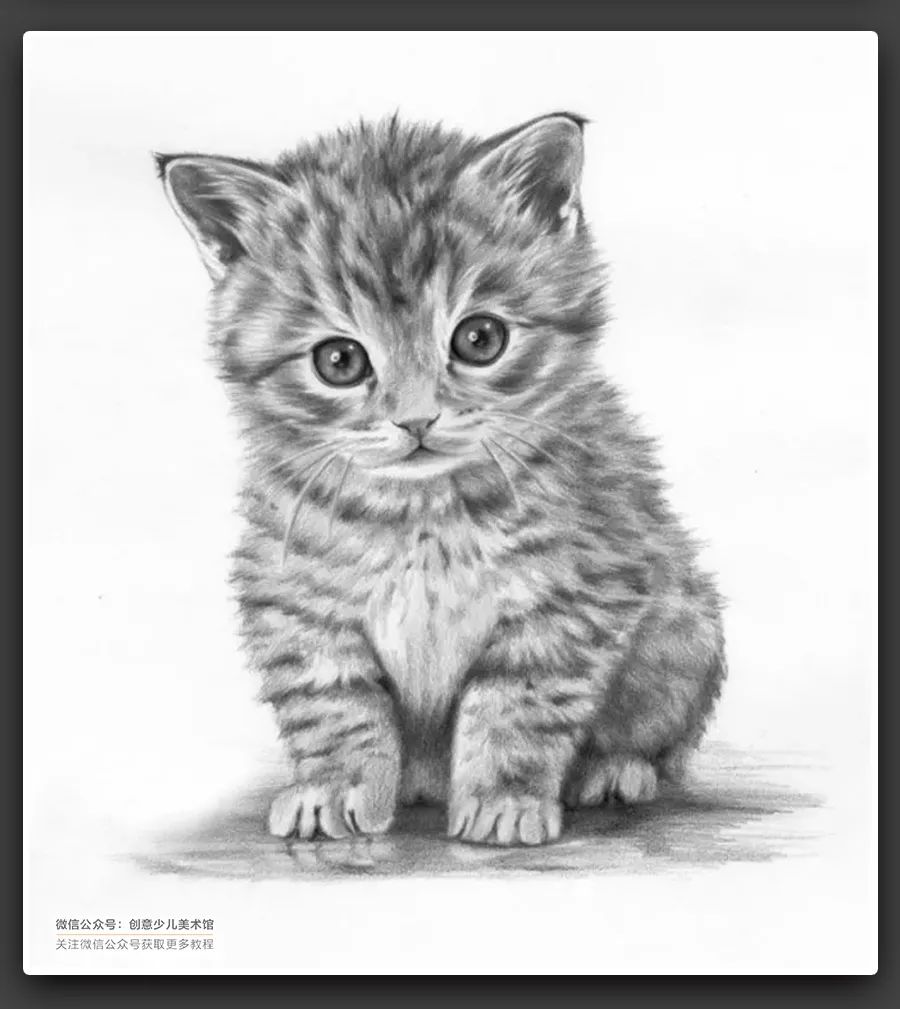 动物素描毛发细节教程,6-12岁儿童素描课程画动物