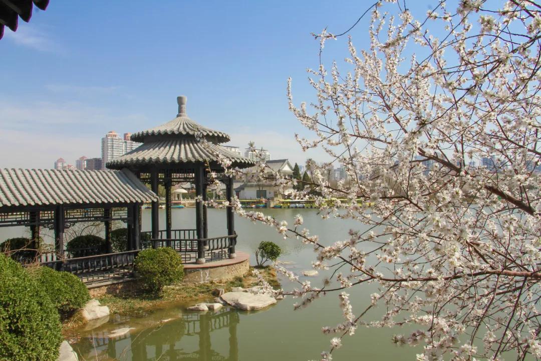 泰安免费公园和踏青好去处,准备好了吗带你畅游河南