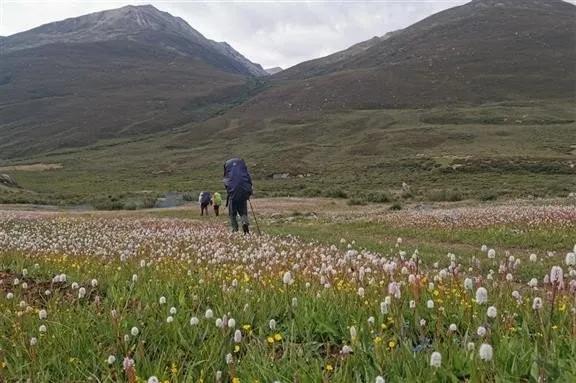 8月格聂c线,8月走格聂南线穿什么