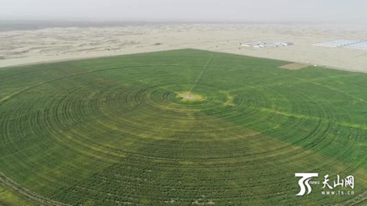 考古天天向上肖战王一博细节,考古天天向上王一博片段