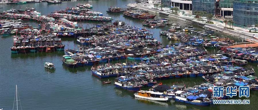 接下来3个月，福州人想吃这些海鲜要多花钱了！因为……