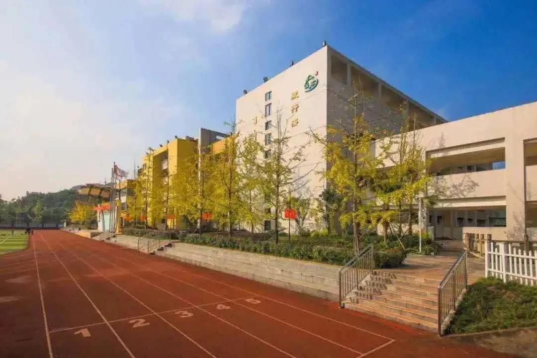 重庆树人小学分校有哪些,重庆树人小学毕业上哪些中学