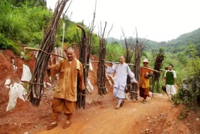 农禅并重完整版,农禅并重的寺院