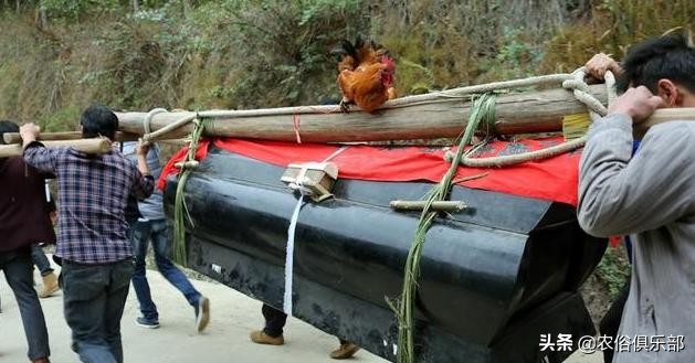 农村出殡为什么要杀一只鸡,下葬杀公鸡有什么忌讳