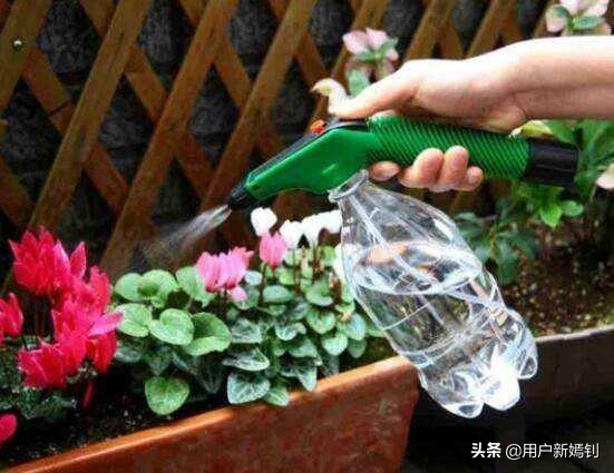 喜欢一个人得不到又放不下怎么办,喜欢她却得不到她