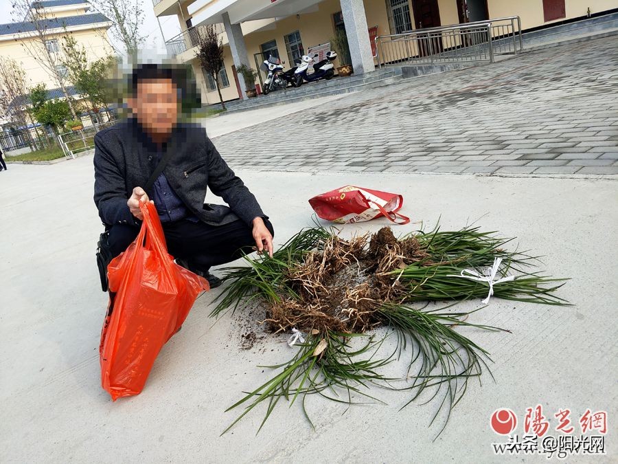 西成高铁开通一年安康铁警查获野生兰草近千株