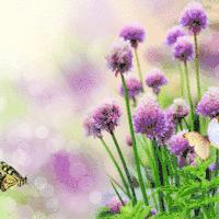 老年如球，50是篮球，60是排球，70是足球……