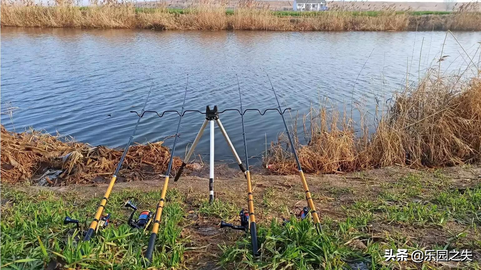 小矶竿野钓抛竿视频,小矶竿钓友公认十款最好