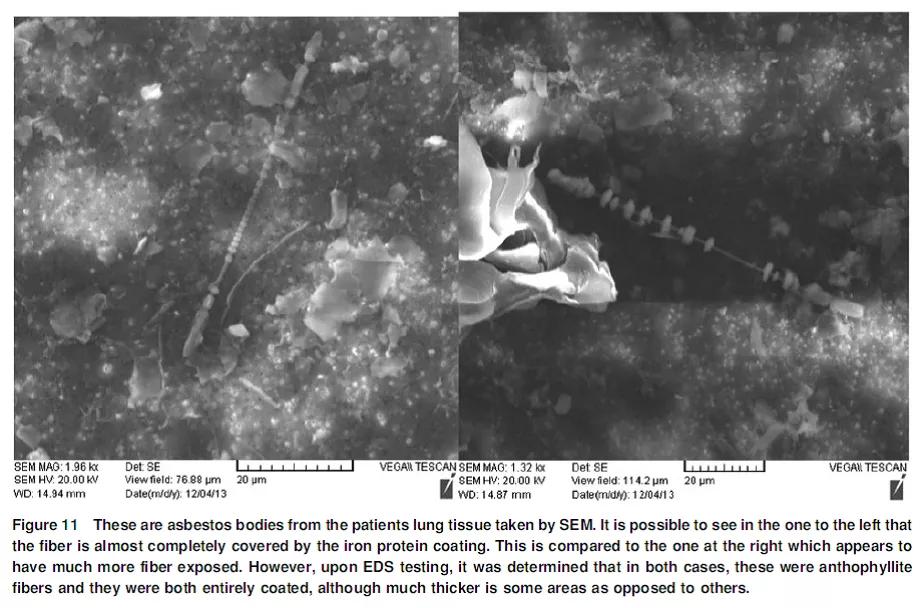 被大牌集体拉黑的它,到底有没有致癌风险?