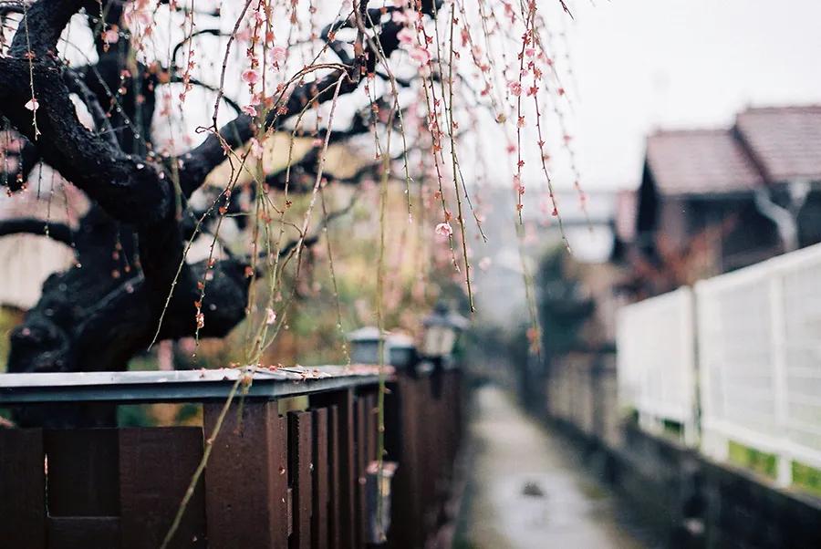 九言修身对联100副,10副简单的对联说尽人生大智慧