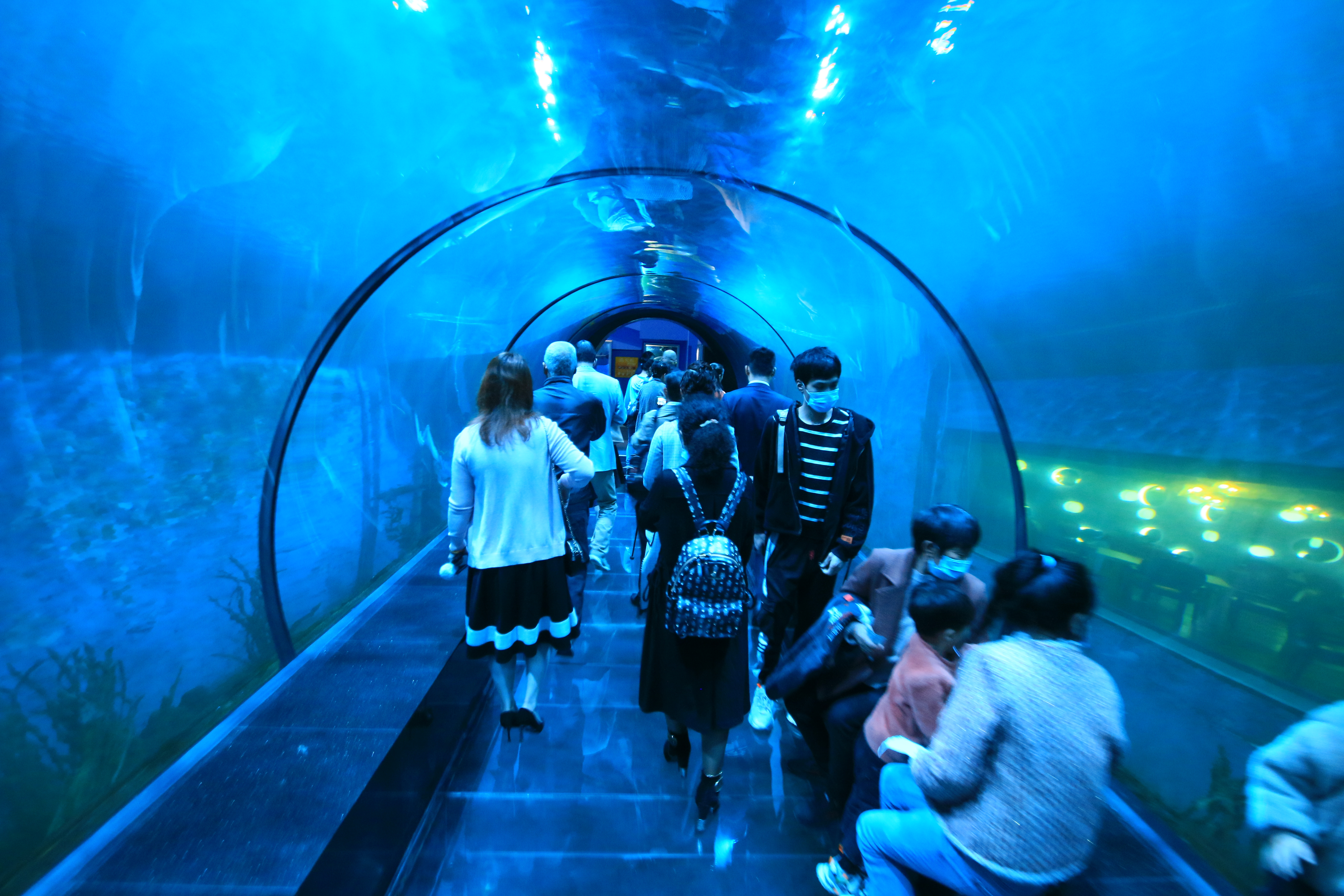 西安曲江海洋极地公园和海洋馆,游西安曲江海洋极地公园